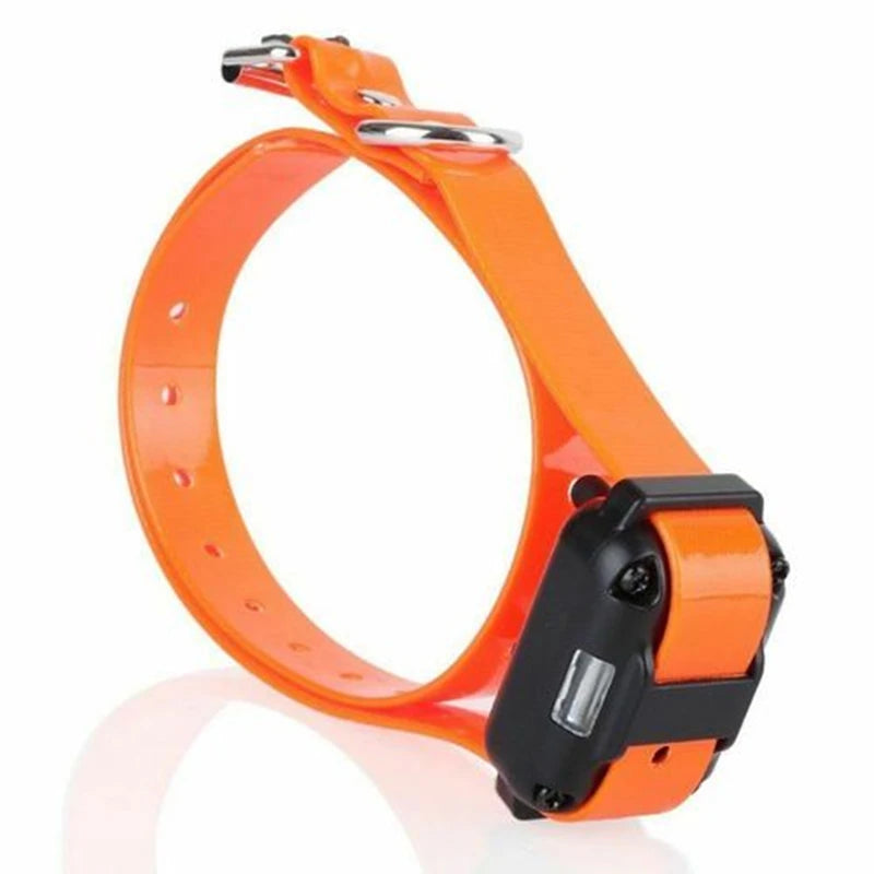Only Electronic Collar